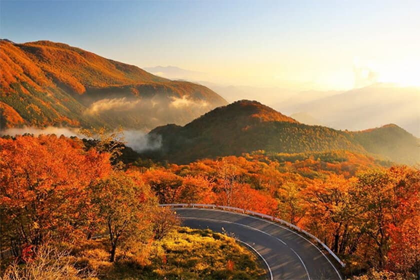 一度は行ってみたい紅葉の名所ランキング！
～1位に輝いたのは栃木県の名所！ 阪急交通社が公開～