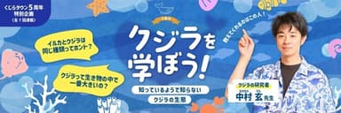 クジラを学ぼう！