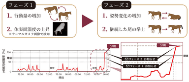 検知の仕組み