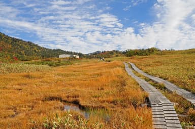 弥陀ヶ原の紅葉(10月上旬～)