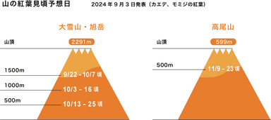 山の紅葉見頃予想