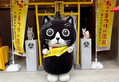 ねこまつり神社と宮司サブちゃん