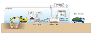 図 1 ：鉄酸化細菌による水銀汚染土壌浄化のイメージ