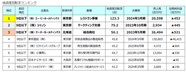 純資産回転率ランキング