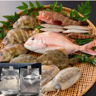 返礼品 今治の天然鮮魚BOX一例