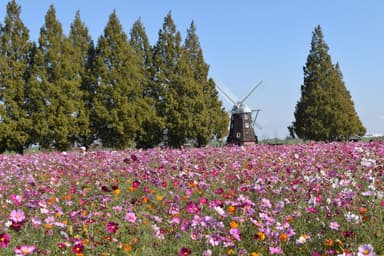 「あけぼの山農業公園」_1