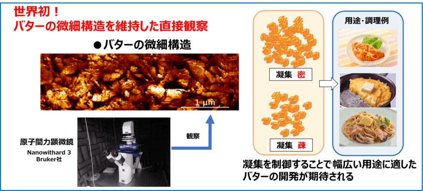 今後のバターの品質や風味向上へ期待
雪印メグミルク 原子間力顕微鏡を用いてバターの組織構造を
維持したまま直接観察できることを世界で初めて確認
2024年9月6日「酪農科学シンポジウム2024」にて発表