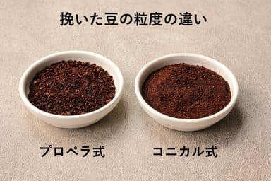 挽いた豆の比較