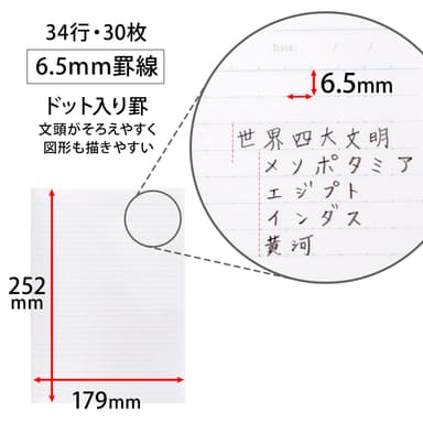 罫線特長(ドット入り6.5mm罫)