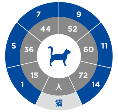 人と猫の加齢スピードの違い