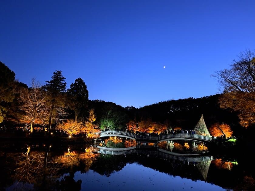 東京・町田市で「来て・見て・体験する」秋のイベント開催　
～紅葉ライトアップやおまつり・マルシェなどを満喫しよう！～