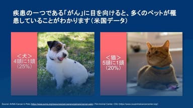 ペットの癌の罹患率