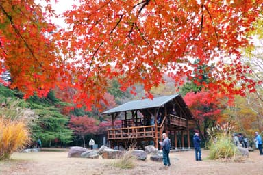 嵐山渓谷展望台