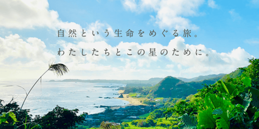 「野生の学校」2024/11/23（土）奄美大島にて開校