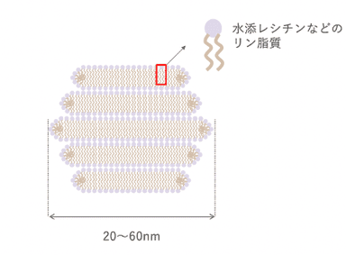 バイセル組織図イメージ