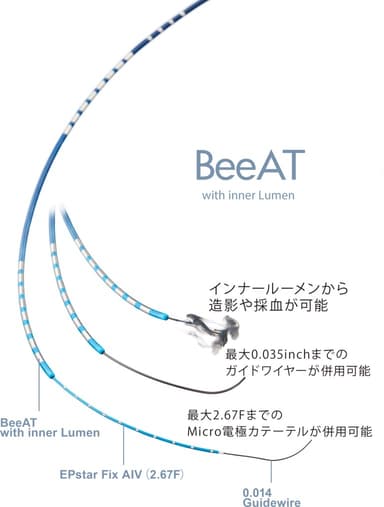 BeeAT with inner Lumen(2)