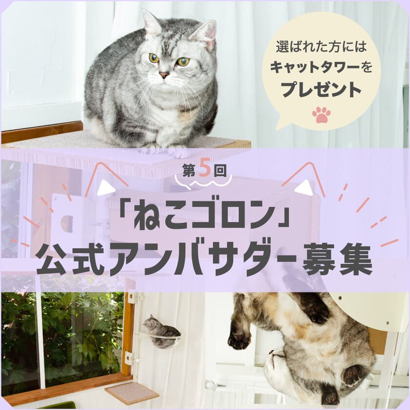 窓枠につけるキャットタワー！Instagramにて『ねこゴロン』
第5回公式アンバサダーを11月1日から11月10日まで募集