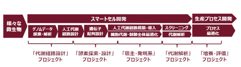 新たなイノベーションの創出に向け、神戸大学発スタートアップ企業 
株式会社バッカス・バイオイノベーションに出資