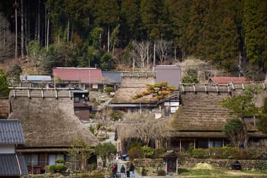 美しい景観と茅刈を楽しむ。かやぶきの里WORK(2024年11月23日、24日)(1)