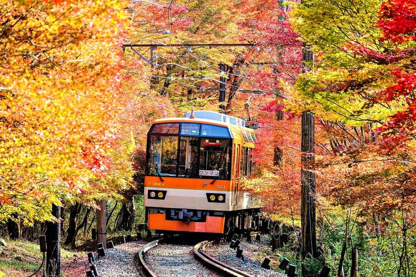 京都・叡山電車沿線のスイーツやカフェが楽しめる引換券付き！
「えいでんスイーツきっぷ」をモバイルチケット限定で販売開始