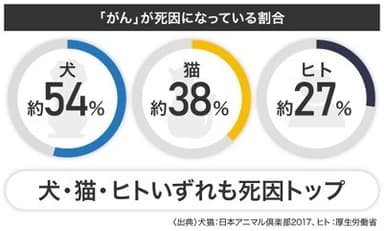 イヌの死因の54％が「がん」