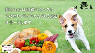 犬の元気をサポート