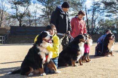 フォレストヒルズ那須でのイベントの様子