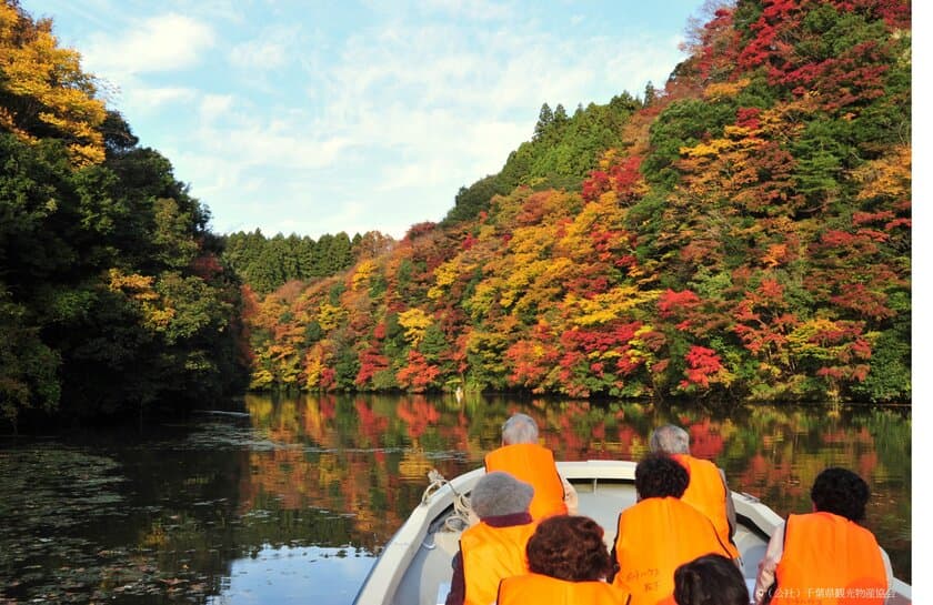 東京から90分の非日常体験　
晩秋の房総半島の紅葉とヒーリングスポットをご紹介！