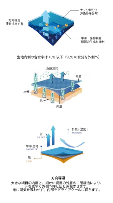 単導 イメージ図