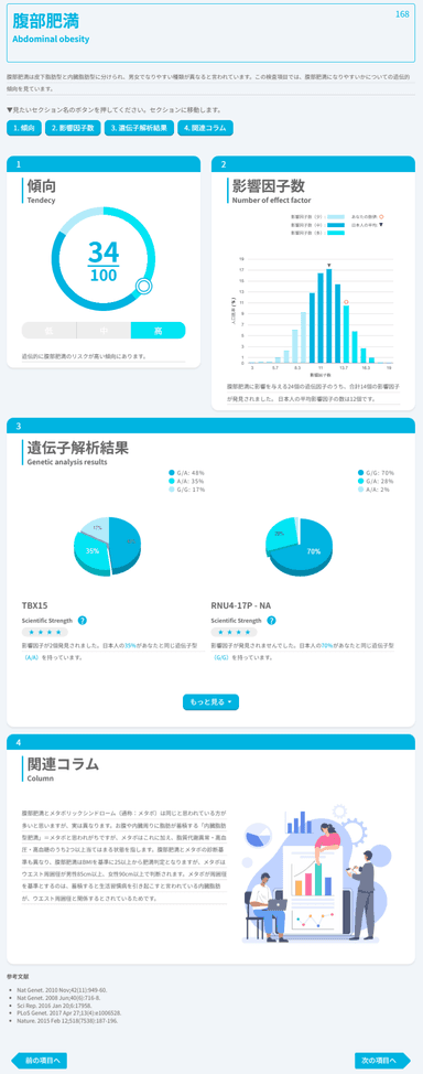 レポート例腹部肥満