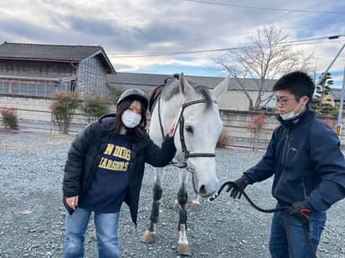 馬と一緒にワークショップ