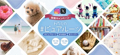 わたしの｢#ピュアルーツ｣Instagram&X投稿キャンペーン