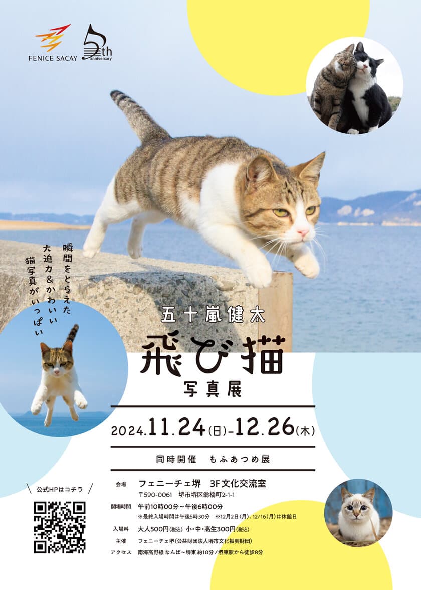 「五十嵐健太　飛び猫写真展」のご案内