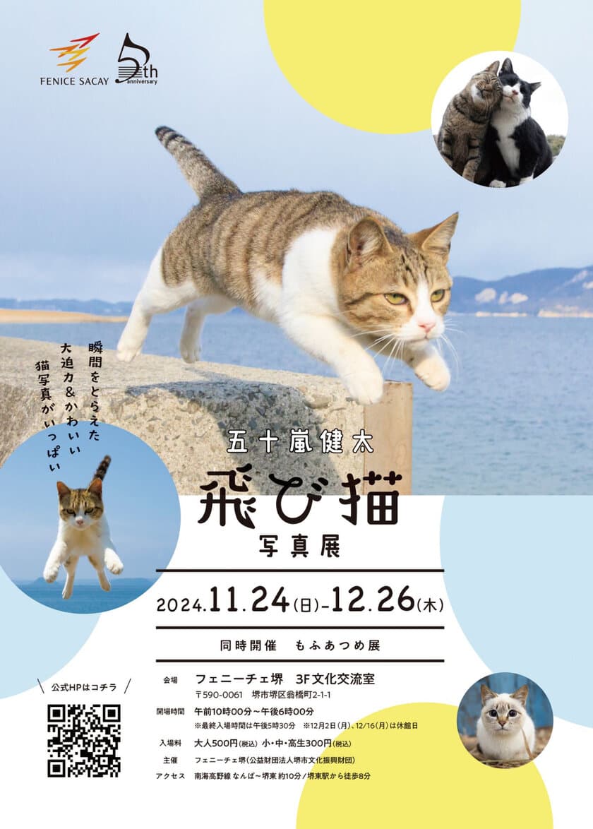 「五十嵐健太　飛び猫写真展　同時開催　もふあつめ展」
フェニーチェ堺で開幕！