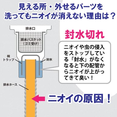 ニオイの原因は封水切れ