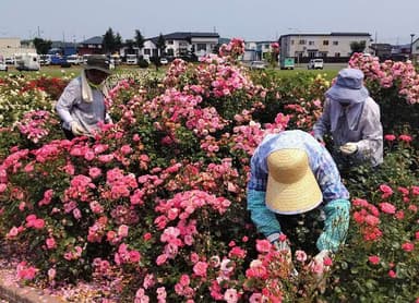 ボランティアさんの力も借りて運営しています