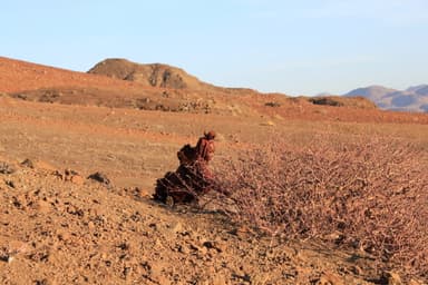 ナミビアの砂漠に住むヒンバ族の女性