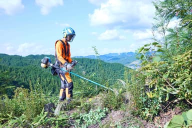 夏場の下刈り風景