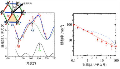 図1 β'-EtMe3Sb[Pd(dmit)2]2のESR線幅およびμSR緩和率の振る舞い