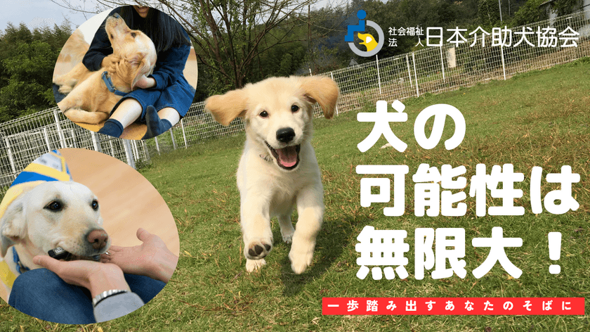 日本介助犬協会が12月31日(火)23時59分まで　
「ふるさと納税を活用したクラウドファンディング」を実施　
～募集期間終了まで残りわずか～