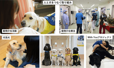 人と犬をつなぐ取り組み