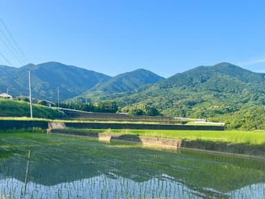 福岡県・福智町