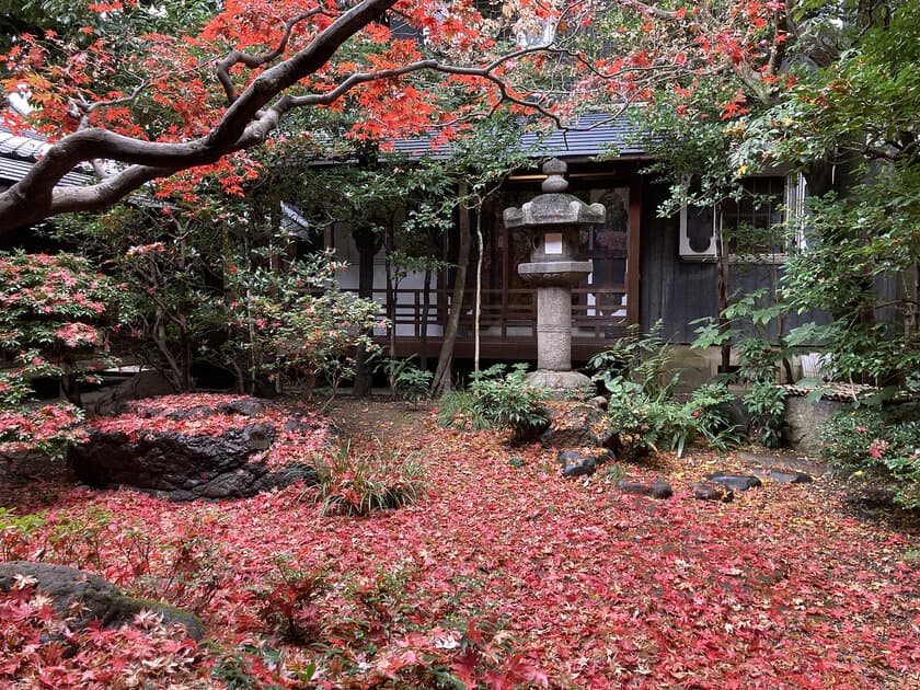 『紅葉の京都で特別なひとときを-舞妓さんと過ごす「お茶会」』を
京都・町家にて12月15日開催