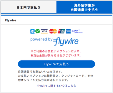 支払者サイト(Flywireの選択画面)