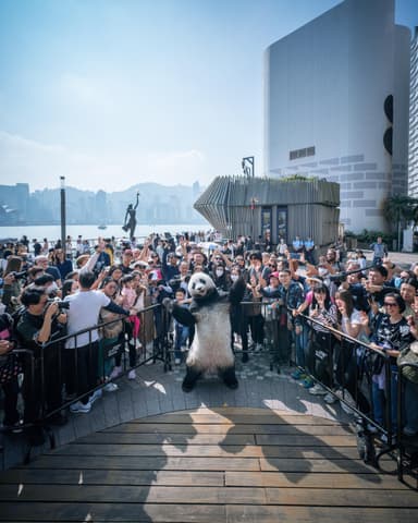 「PANDA GO! 香港遊」リアルパンダ スーツ