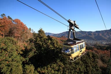 宝登山ロープウェイイメージ1