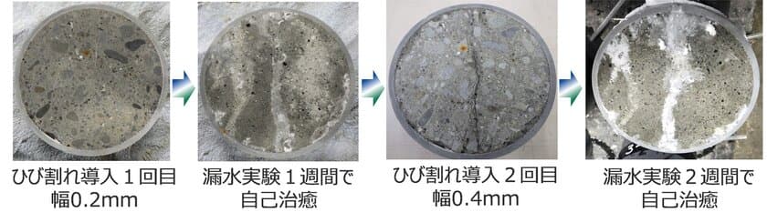 微生物を高度利用したバイオスマートコンクリートを
産学官連携で共同開発