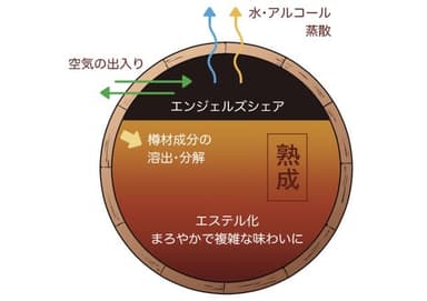 樽熟成でお酒が美味しくなる仕組み