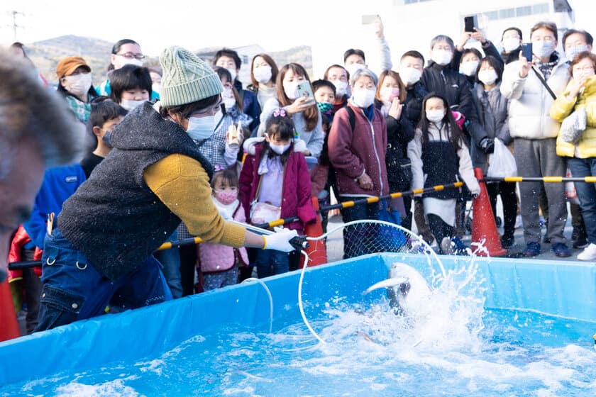 「第31回伊東温泉めちゃくちゃ市」1/25(土)・26(日)開催！
～伊豆半島の特産品を“めちゃくちゃ市”価格で買える～