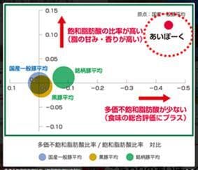 日本認証サービスにて科学的に分析2